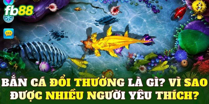 Bắn Cá Đổi Thưởng – Săn Cá Nhận Thưởng Cực Hấp Dẫn 1 Bắn cá đổi thưởng là gì? Vì sao được nhiều người yêu thích?