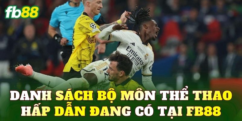 Thể Thao - Sảnh Cược Đỉnh Cao Với Nhiều Lựa Chọn Hấp Dẫn 3 Danh sách bộ môn thể thao hấp dẫn đang có tại FB88