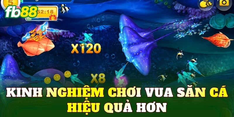 Kinh nghiệm chơi vua săn cá hiệu quả hơn