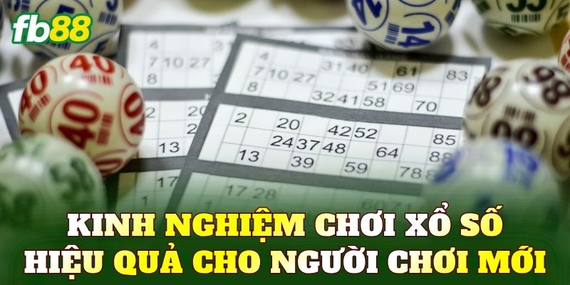 Xổ Số - Trải Nghiệm Quay Số Với Cơ Hội Nhận Thưởng Lớn 5 Kinh nghiệm chơi xổ số hiệu quả cho người chơi mới