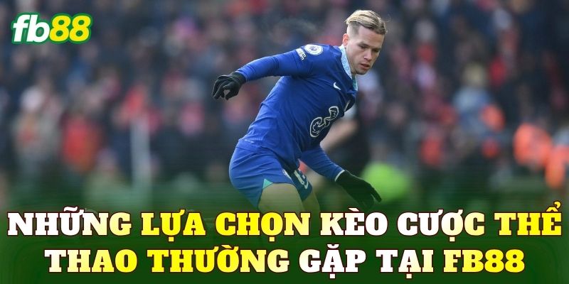 Thể Thao - Sảnh Cược Đỉnh Cao Với Nhiều Lựa Chọn Hấp Dẫn 5 Những lựa chọn kèo cược thể thao thường gặp tại FB88