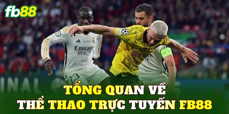 Thể Thao - Sảnh Cược Đỉnh Cao Với Nhiều Lựa Chọn Hấp Dẫn 1 Tổng quan về khu vực thể thao trực tuyến FB88