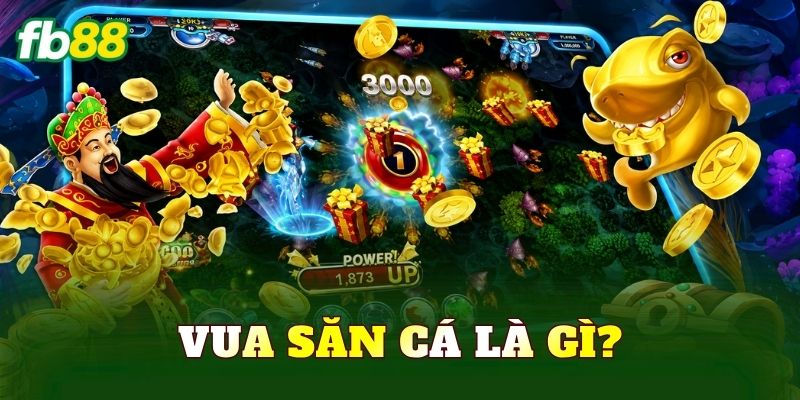 Vua săn cá là gì?
