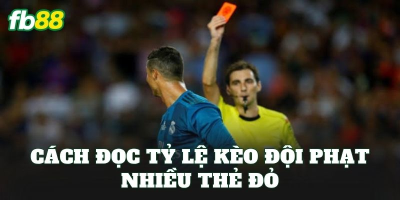Kèo Đội Phạt Nhiều Thẻ Đỏ: Cách Đọc Kèo Và Chọn Cửa Hiệu Quả 2 Cách đọc tỷ lệ kèo đội phạt nhiều thẻ đỏ