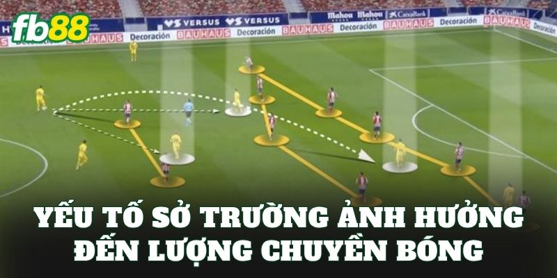Kèo Tổng Số Lần Chuyền Bóng Sở Trường: Cách Đọc Chuẩn Xác 2 Yếu tố sở trường ảnh hưởng đến lượng chuyền bóng